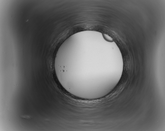 X0000100310044200806051338
