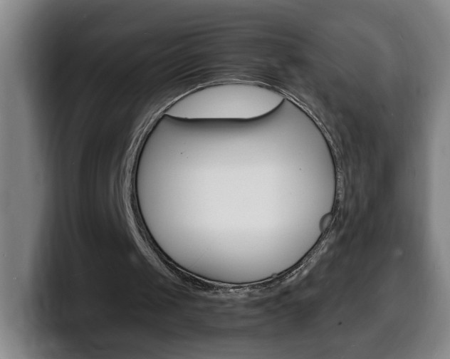 X0000100310049200806051337