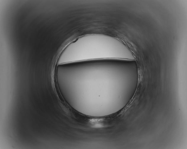 X0000100310051200806051337