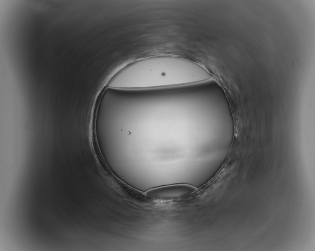 X0000100310052200806051337