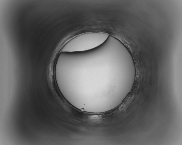 X0000100310053200806051337