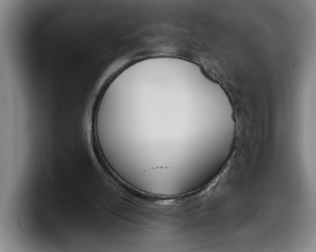 X0000100310054200806051337