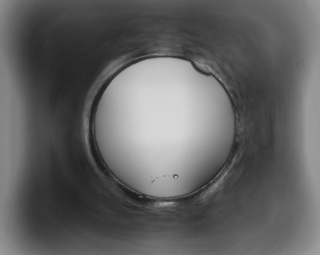 X0000100310055200806051337