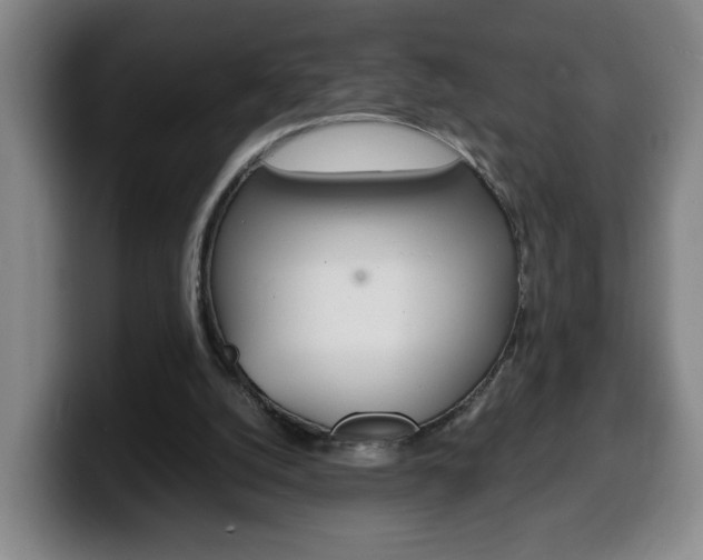 X0000100310056200806051337