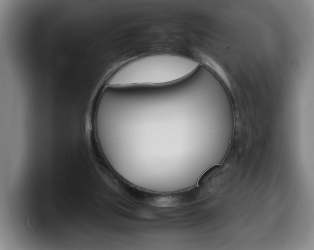 X0000100310059200806051337