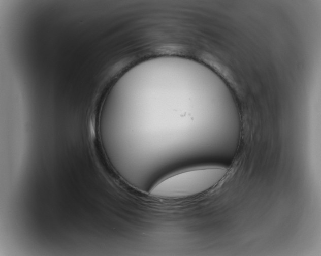 X0000100310062200806051337