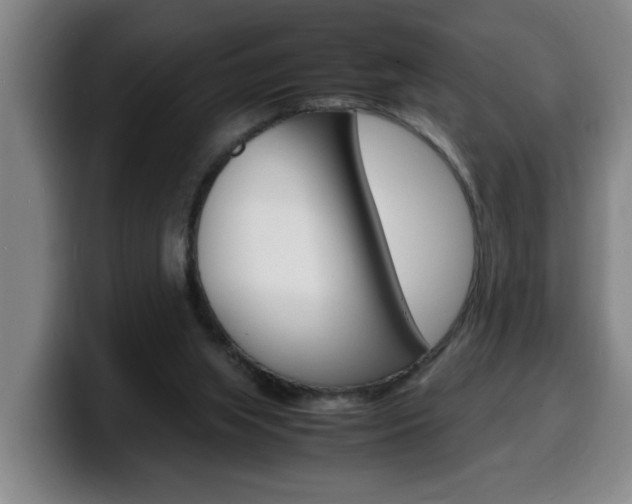 X0000100310063200806051337