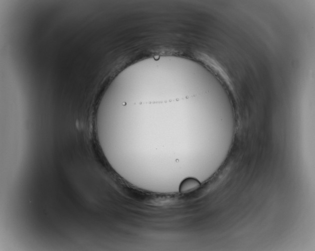 X0000100310065200806051337