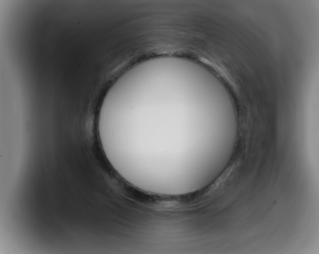 X0000100310066200806051337