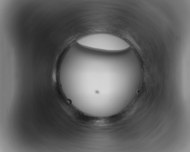 X0000100310068200806051337
