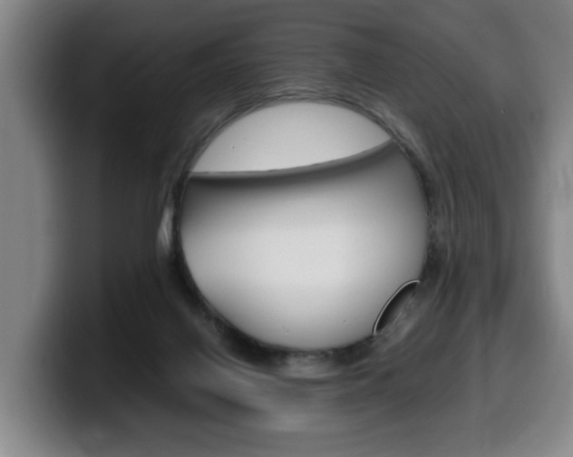 X0000100310070200806051337