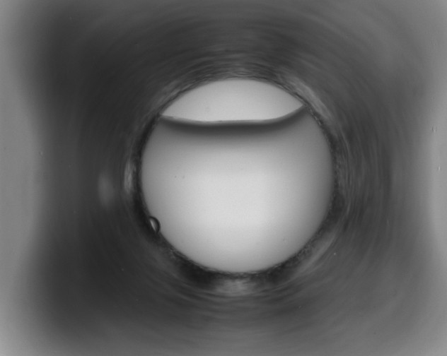 X0000100310071200806051337