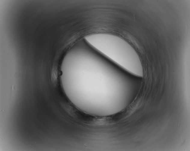 X0000100310072200806051337