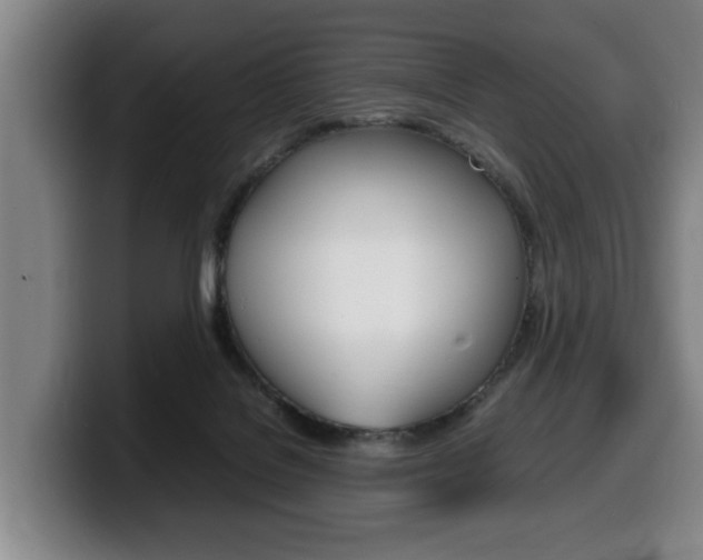 X0000100310076200806051337
