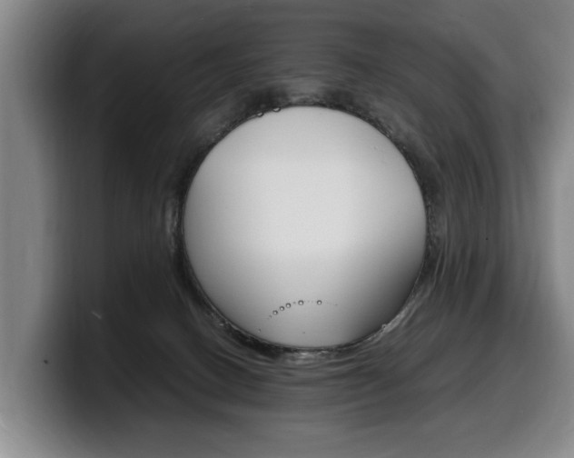X0000100310082200806051338