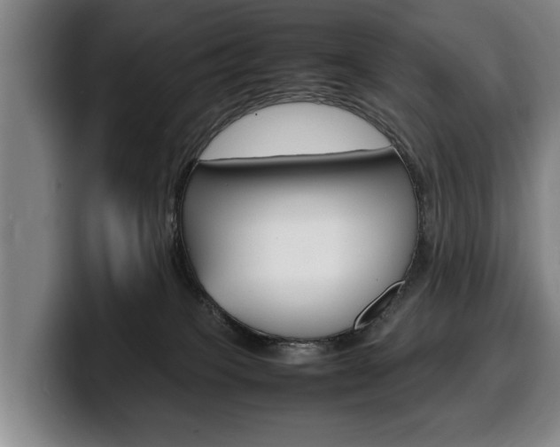 X0000100310085200806051338