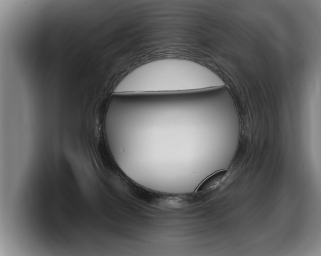 X0000100310086200806051338