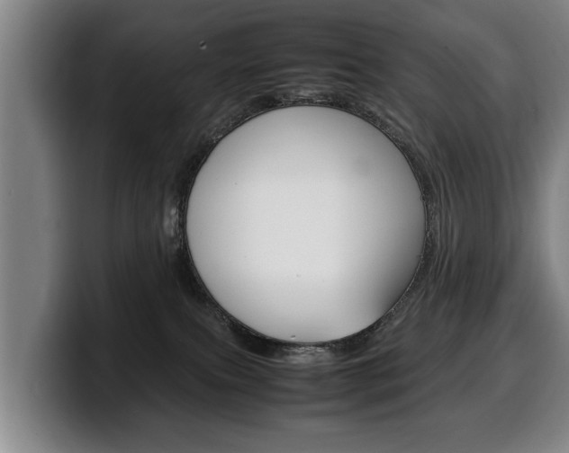 X0000100310087200806051338