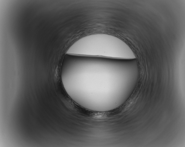 X0000100310088200806051338