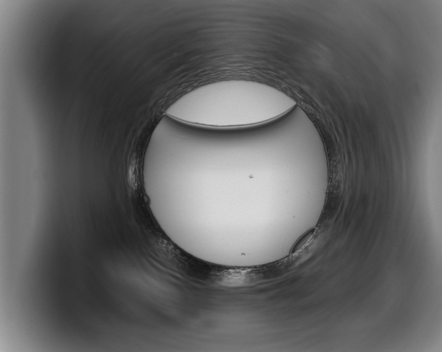 X0000100310090200806051338
