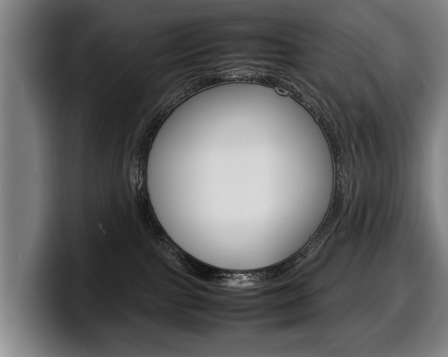 X0000100310091200806051338