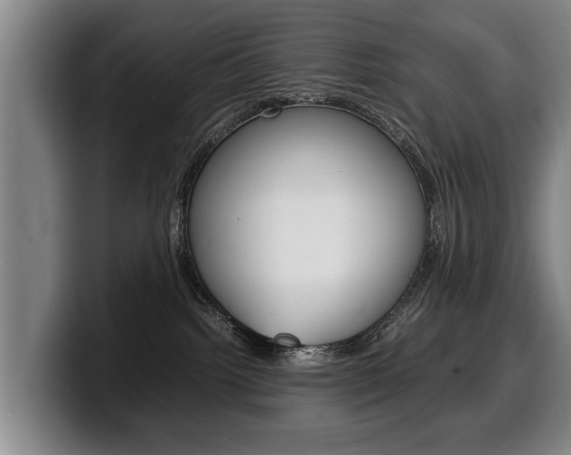 X0000100310092200806051338