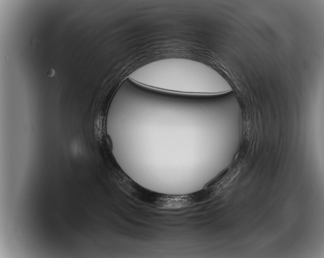 X0000100310093200806051338