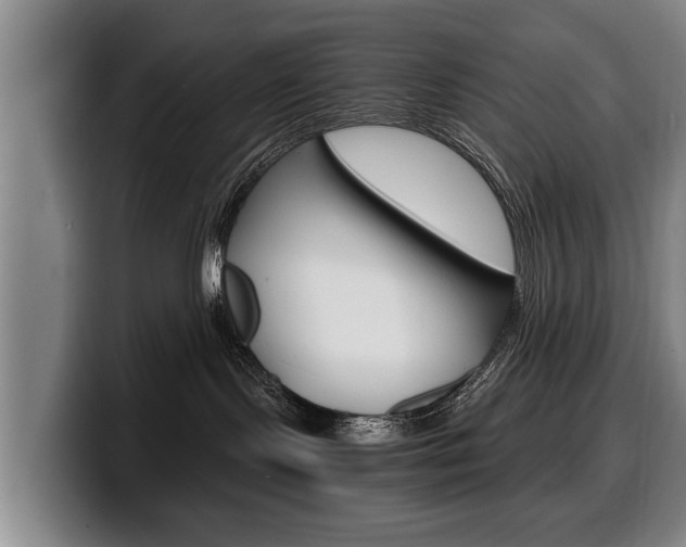 X0000100310095200806051338