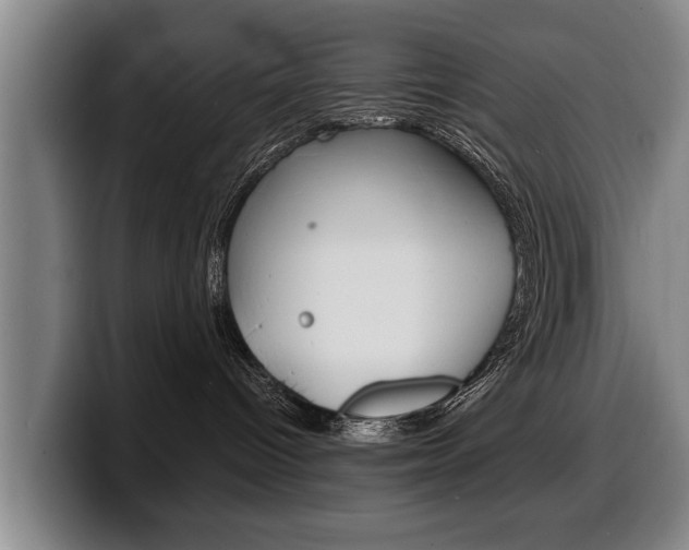 X0000100310096200806051338