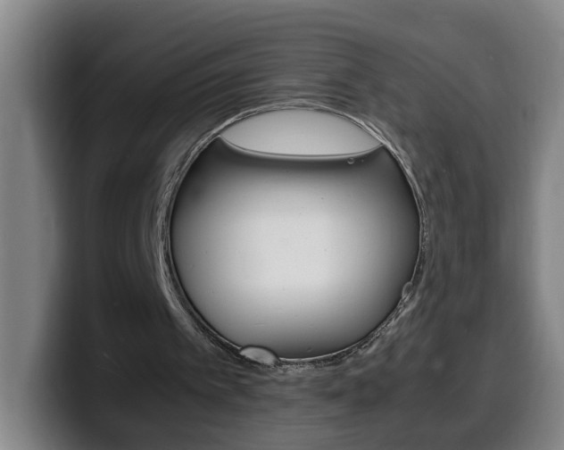 X0000100310097200806051337