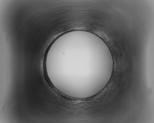 X0000100310098200806051337