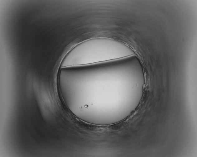 X0000100310099200806051337