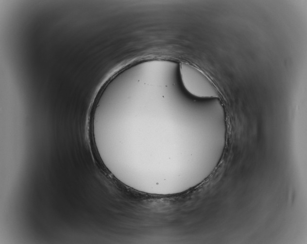 X0000100310100200806051337