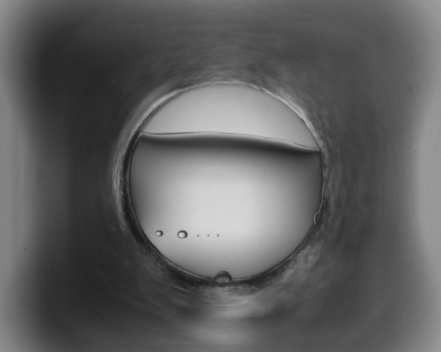 X0000100310103200806051337