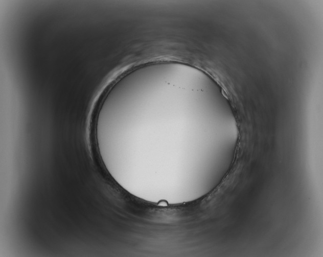 X0000100310104200806051337
