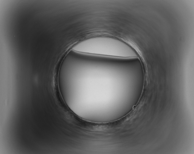 X0000100310105200806051337