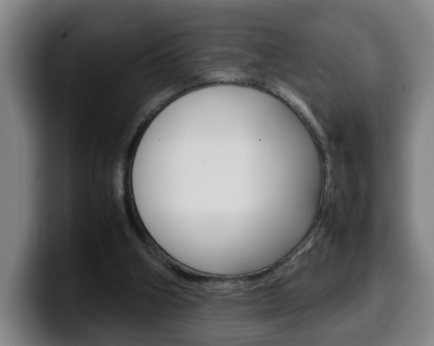 X0000100310106200806051337