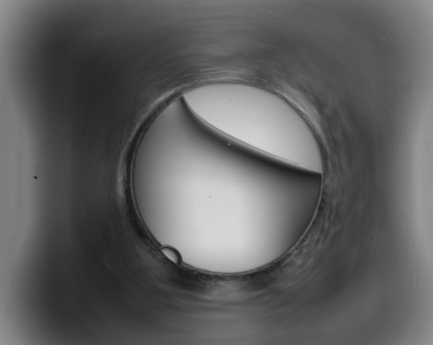 X0000100310107200806051337