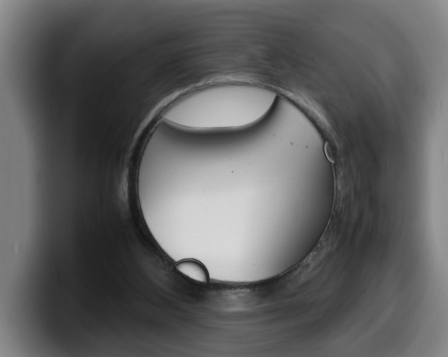 X0000100310108200806051337
