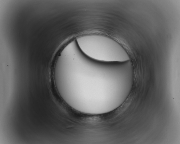 X0000100310112200806051337