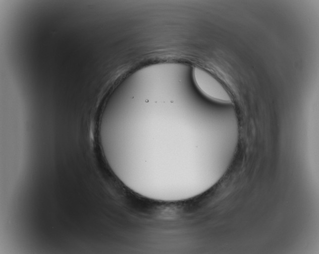 X0000100310115200806051337