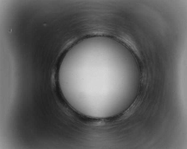 X0000100310116200806051337