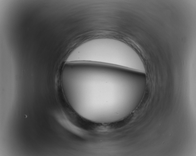 X0000100310119200806051337