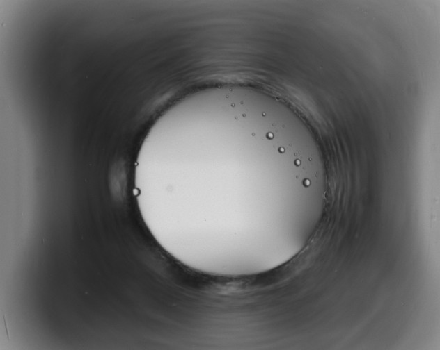 X0000100310120200806051337