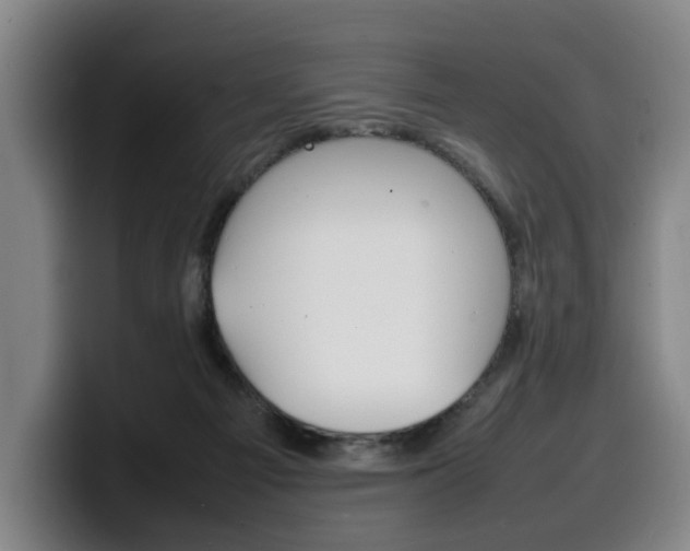 X0000100310121200806051337