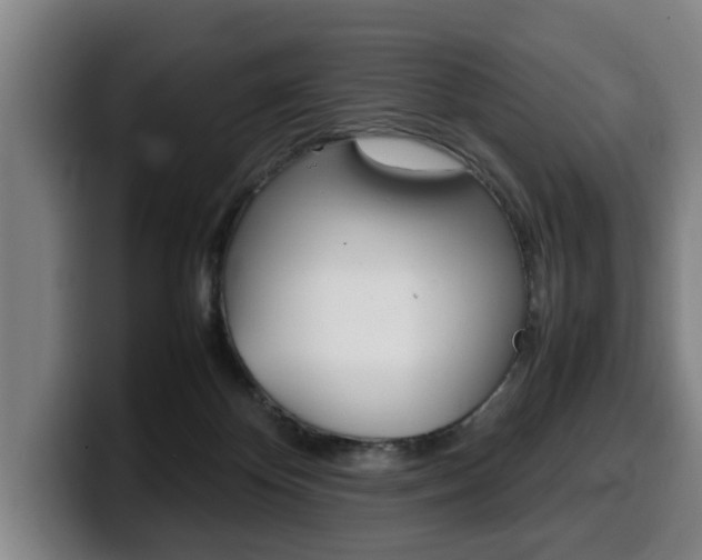 X0000100310124200806051337