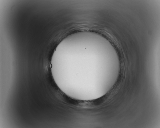 X0000100310125200806051337