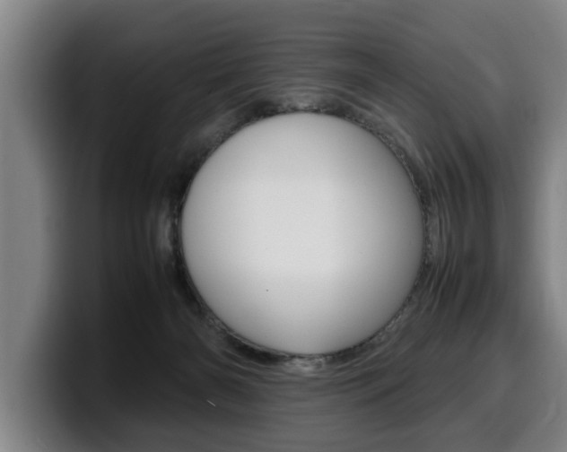 X0000100310126200806051337