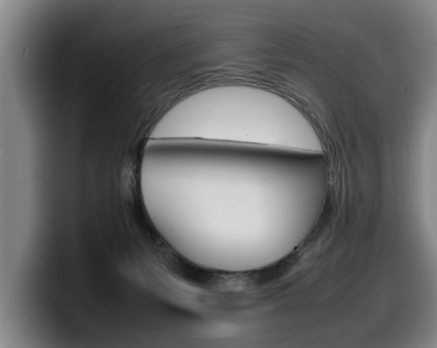 X0000100310127200806051337