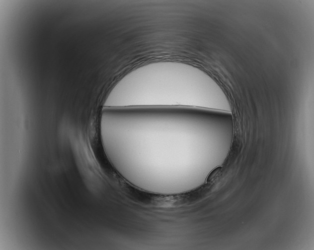 X0000100310131200806051337